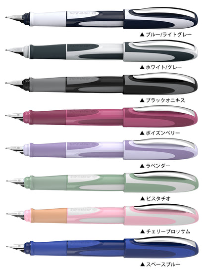[色見本] 万年筆 レイ F