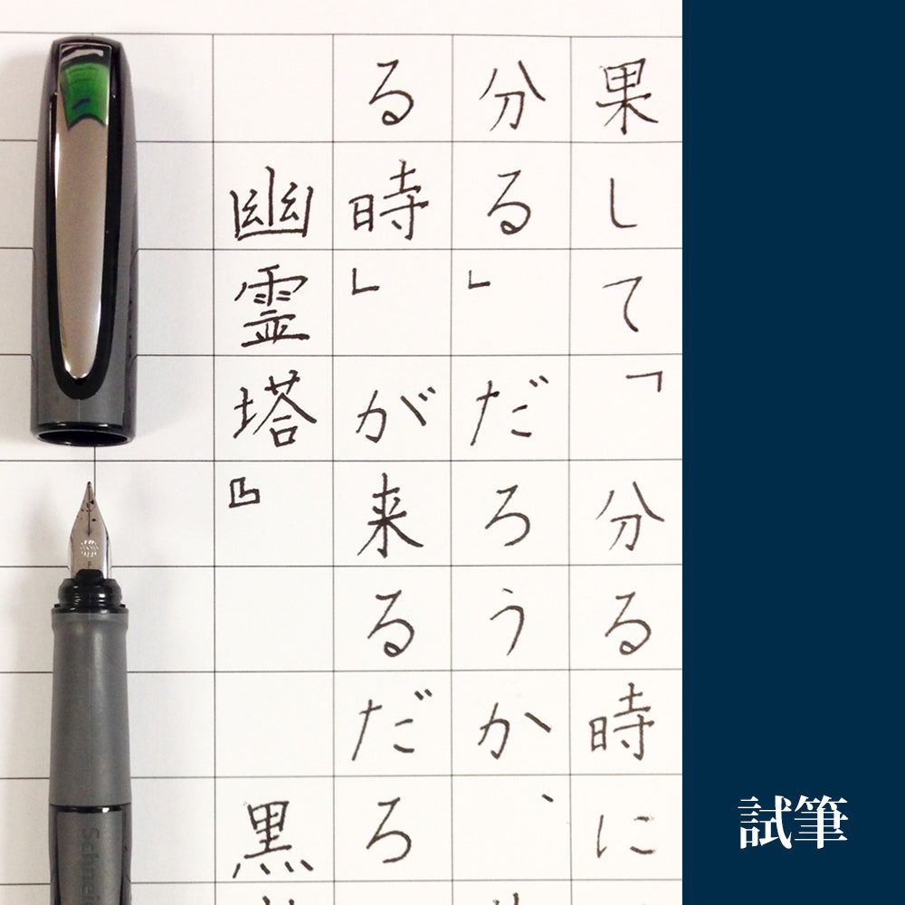シュナイダー Schneider 万年筆 M 中字 レイ Ray 6色展開 カートリッジ コンバーター両用式