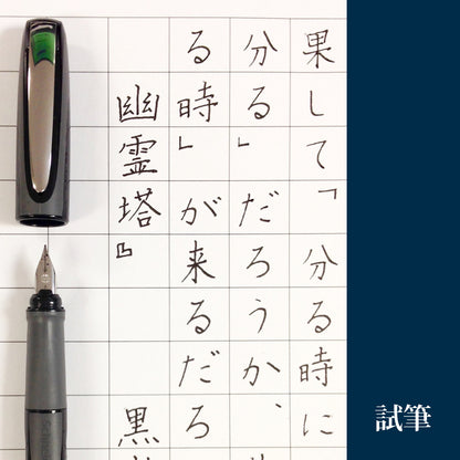 シュナイダー Schneider 万年筆 M 中字 レイ Ray 6色展開 カートリッジ コンバーター両用式